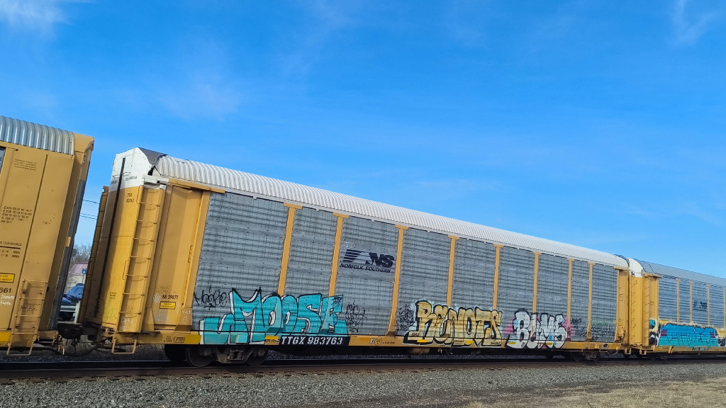 NS 29871 (Body) TTGX 983763 (Flat)